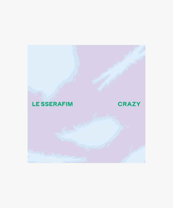 JAPAN 3rd Single 'CRAZY' Standard Edition